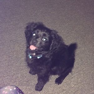 Meet your Posher, Jenna